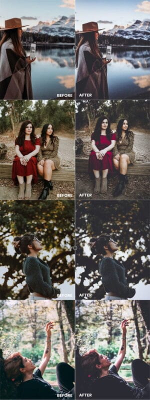 Moody Tones Action & Preset Moody Tones Action & Preset