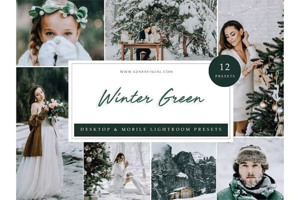 12x Lightroom Presets Winter Green Presets Presets Winter Green Presets