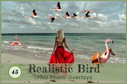 Realistic Birds Overlays