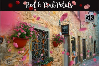 Red & Pink Petals Overlays