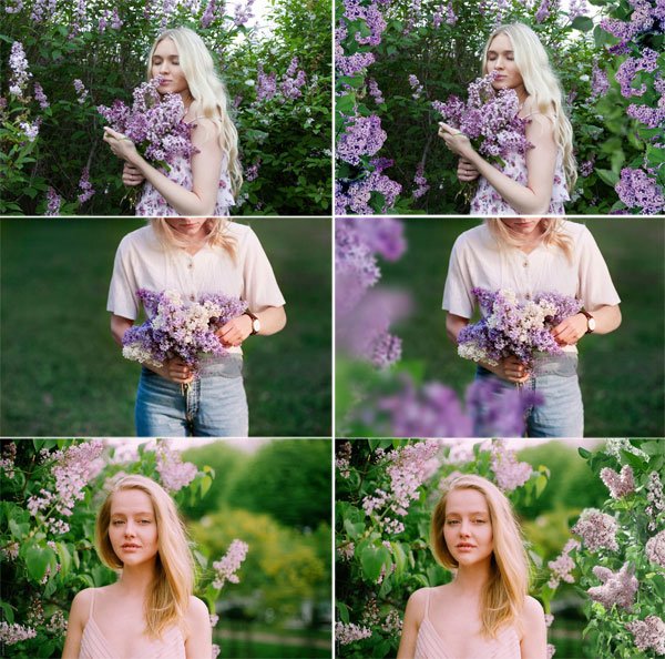 Spring Lilac PNG Overlays
