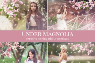 Under Magnolia Photo Overlays