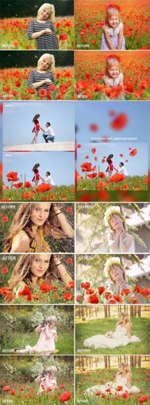 35 Poppies Png Photo Overlays 35 Poppies Png Overlays