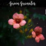Green Granules Overlays