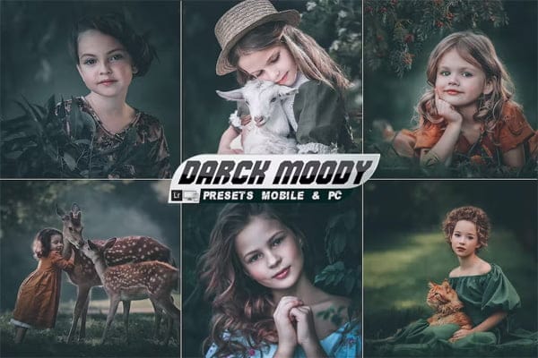 Darck Moody Lightroom Presets Darck Moody Lightroom Presets