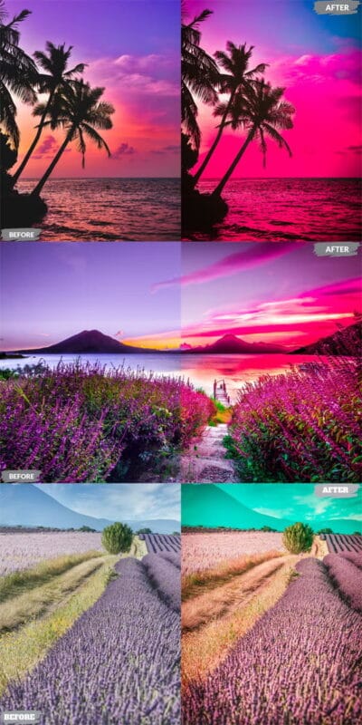 Lavender Lightroom Presets for Mobile Lavender Lightroom Presets for Mobile