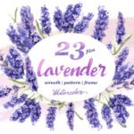 Lavender PNG Flowers in Watercolor