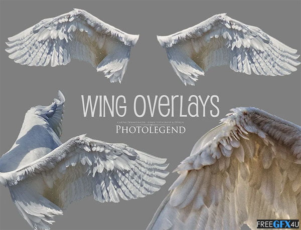 White Wings Photo Overlays