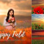 Poppy Field Background