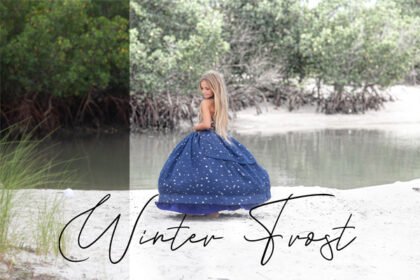 Sweet Soul Studio Winter Frost Action
