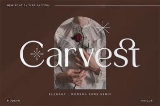 Carvest Elegant Modern Sans Serif