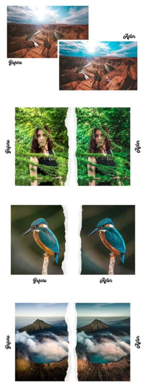 Nature Vol. 2 15 Premium Presets Nature Vol. 2 15 Premium Presets