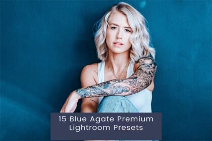 15 Premium Presets by Blue Agate