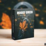 Moody Dark Green Presets