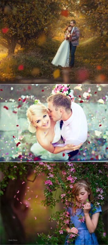 Portrait Pizzaz Botanical Floral & Leaf Overlays Portrait Pizzaz Botanical Floral & Leaf Overlays