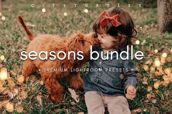 Seasons Bundle Fall & Winter Presets Seasons Bundle Fall & Winter Presets