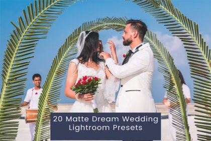 Matte Dream Wedding Presets