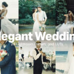 Elegant Wedding Presets and LUTs