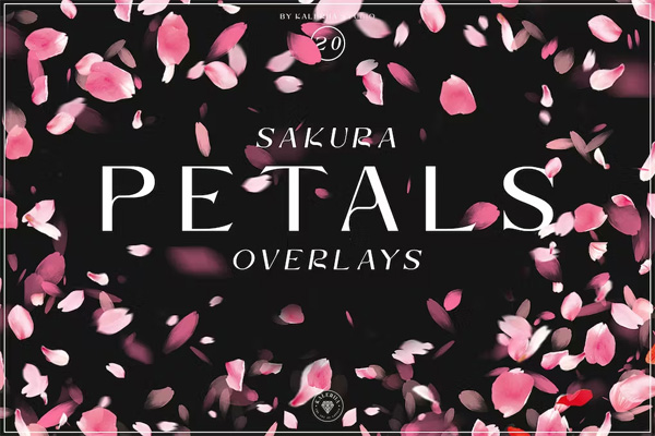 Sakura Petals Overlays