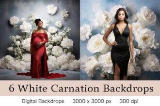 06 White Carnation Flowers Backdrops