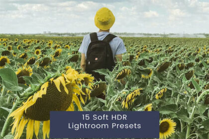 15 Soft HDR Presets