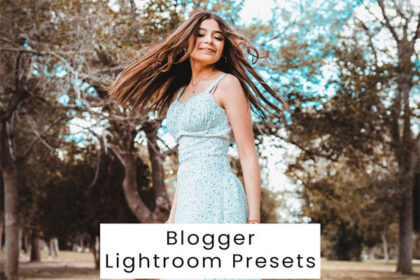 Blogger Lightroom Presets