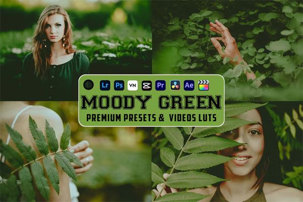 Moody Green Luts Videos and Presets for Mobile Desktop