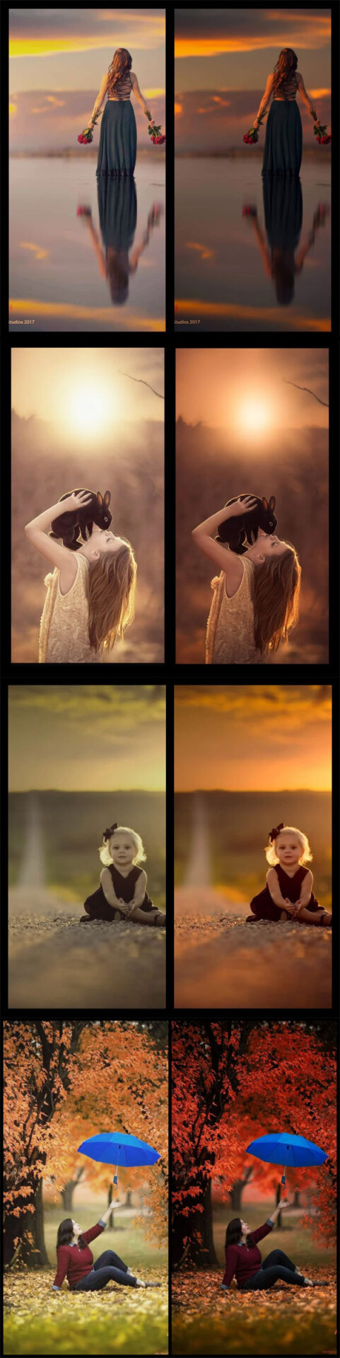 Rich and Moody Chroma Collection Rich and Moody Chroma Collection