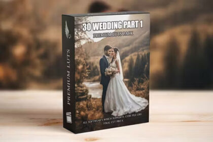Top 30 Cinematic Wedding LUTs for Videographers