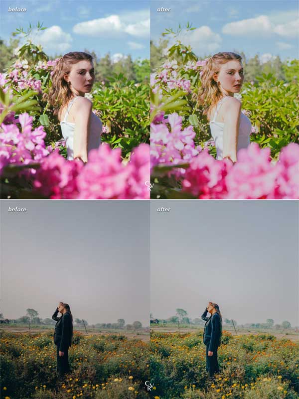 15 Spring Tones Lightroom Presets 15 Spring Tones Lightroom Presets