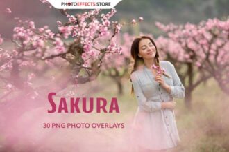 30 Sakura Photo Overlays