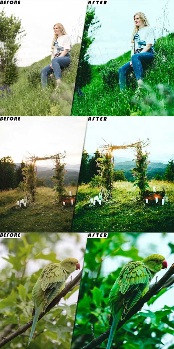 Airy Green Presets Luts Videos Premiere Pro Airy Green Presets Luts Videos Premiere Pro