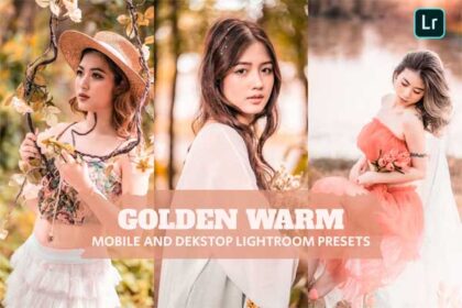 Golden Warm Lightroom Presets for Desktop and Mobile