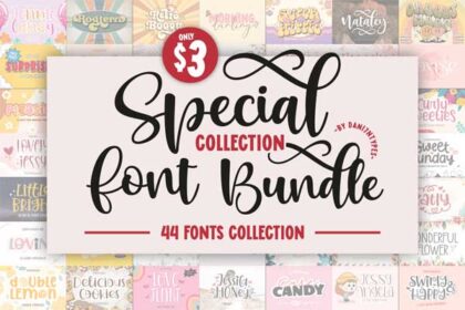 Special Collection Font Bundle