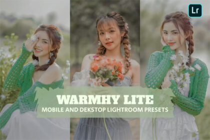 Warmhy Lite Lightroom Presets for Desktop and Mobile