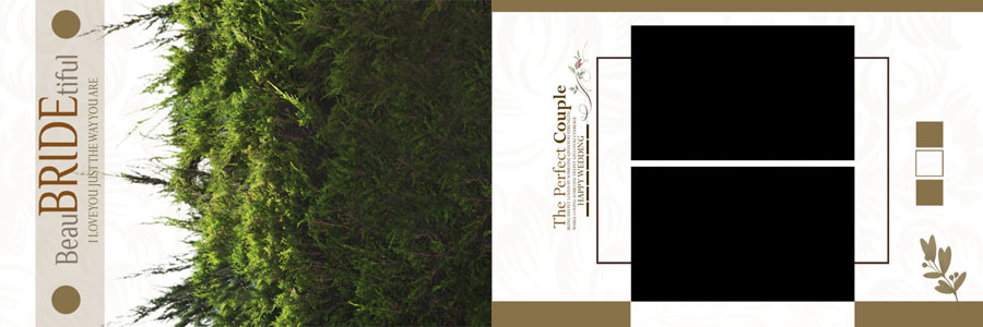 latest 12x36 wedding album PSD template for professional couple album design in Photoshop