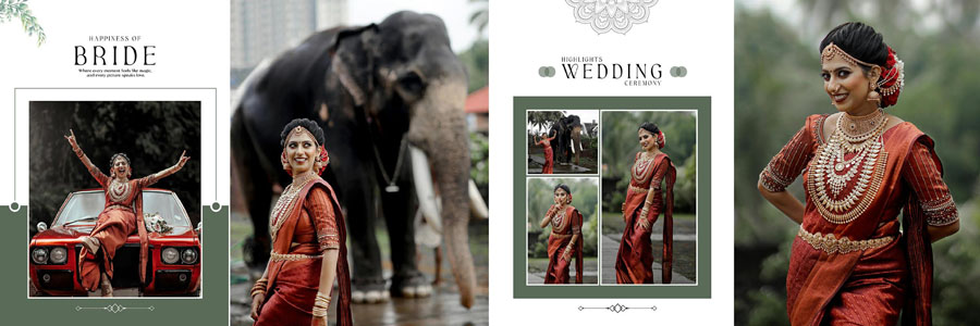 Wedding Album Design PSD 12x36 Photoshop Template