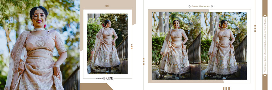 Modern Bridal Wedding Album PSD 12x36 Layout Design
