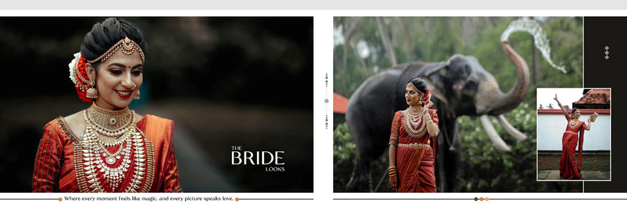 Editable Wedding Album PSD 12x36 Template Design