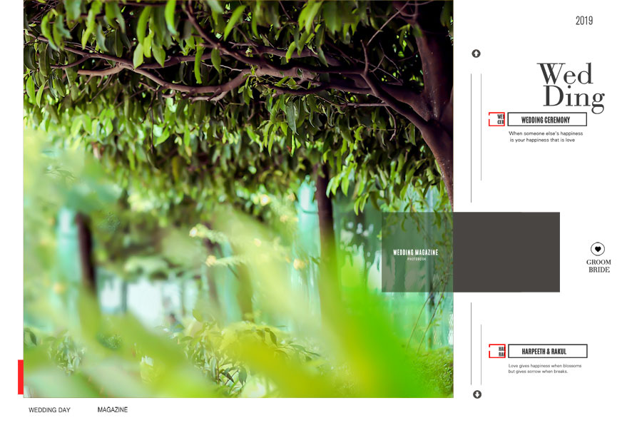 Professional 18x28 Wedding Album Design PSD Template 200DPI - Page 1