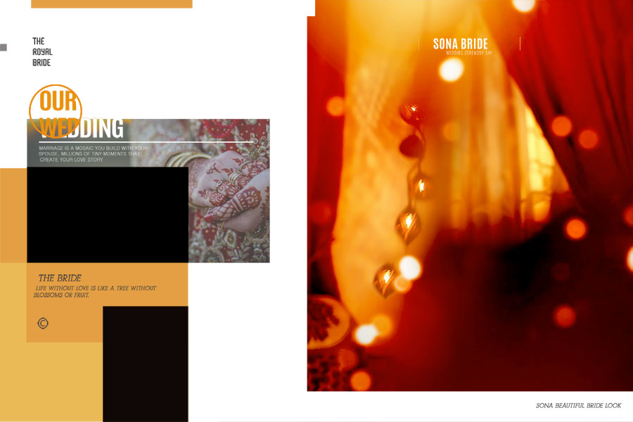 High Quality 18x28 Wedding Album Design PSD 200DPI - Page 3